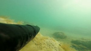 Подводная охота на кефаль в мутной воде.Каспийское море.(49 гряда) #Актау #Шагала