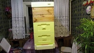 комбинированный улей ППС - дерево , для работы пчел на мед