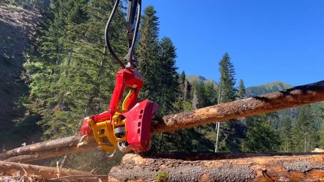 Case CX 210D & WOODY H70 ◇ Roadside Processing смотреть онлайн