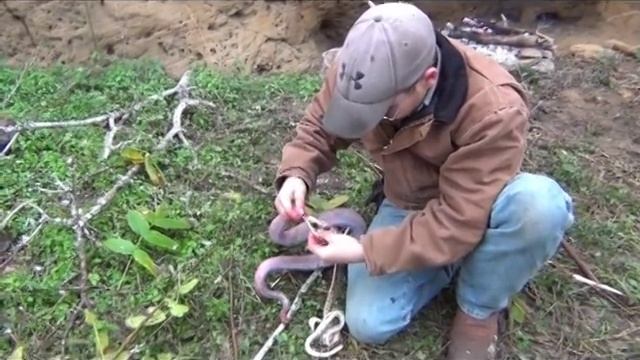 How to Kill Skin Cook RATTLESNAKE смотреть онлайн