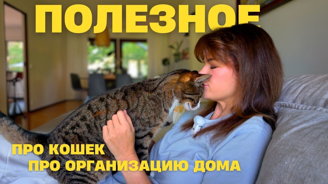 Не заводите кошку пока не посмотрите это. Организую хранение дома