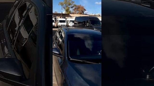 Как смотрится чёрная плёнка с полосой на лобовом, на зелёной Skoda Octavia А7 ➤ Тонировка смотреть онлайн