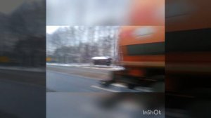 В лесу родила елочка