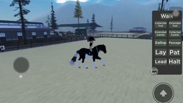 ✨What I Think My Horses Sound Like! Prt: 2! ✨ | Its Mila | Maple Springs Eventing | Roblox смотреть онлайн