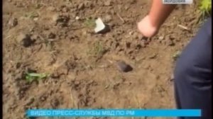 Граната, которую нашли на Светотехстрое в Саранске, уничтожена
