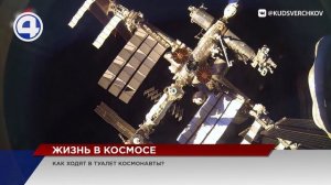 Как устроена жизнь на МКС, как космонавты ходят в туалет и отличают день от ночи?