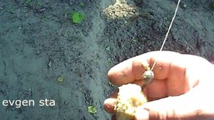 Самолов на крупную рыбу. Снасть