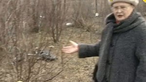 Оптимальное расстояние между деревьями