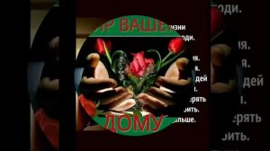 Ислам. Тв(14)