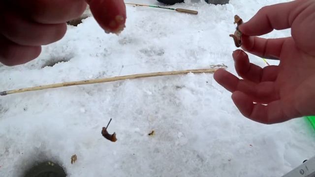 РЫБАЛКА.ЛОВИМ КАМБАЛУ НА КОРОМЫСЛО .ЧАЙКИН МЫС.