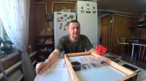 Часть 6. Влияние температуры на выход ювенилов и рост червя.