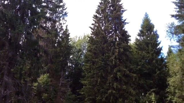 Вот она гора МАУРА. смотреть онлайн