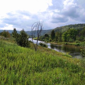 Вечный Зов - место, где был дом Поликарпа Кружилина (бывшая деревня Елабуга 06.08.2023)🎥🎞