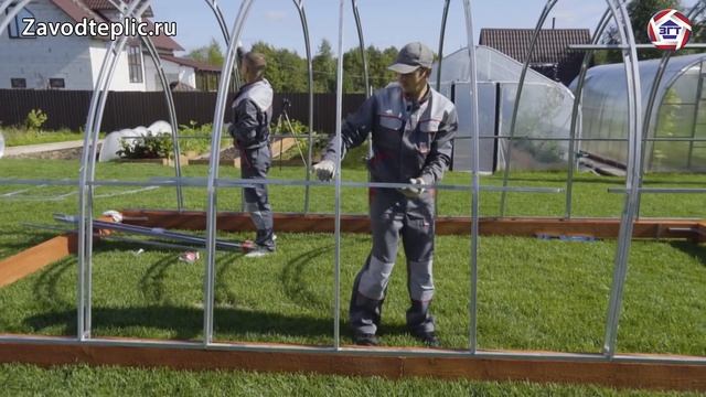 Установка теплицы "Рублевская Люкс": Инструкция. (Сборка, Монтаж). ЗАВОД ГОТОВЫХ ТЕПЛИЦ смотреть онлайн