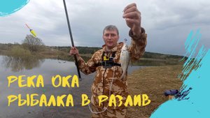 Рыбалка в разлив на поплавок. Река Ока, Шиморский затон