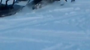 Снегоход  Динго с мотором 150куб