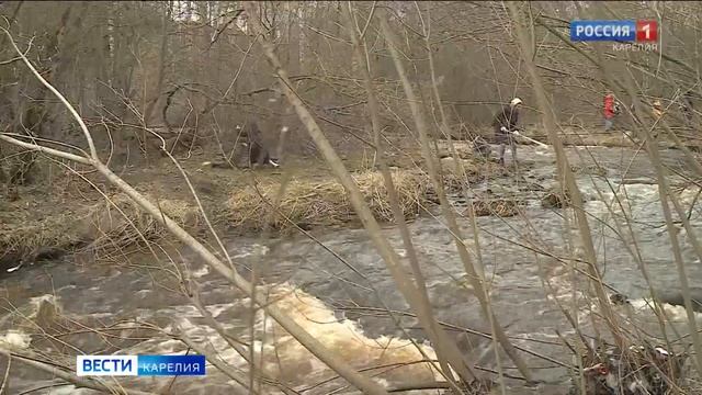 Волонтеры очистили от мусора более сотни километров берегов карельских рек и озер смотреть онлайн