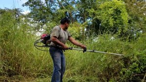 GX35 honda backpack weed trimmer