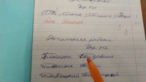 Проверяю рабочие тетради по русскому языку - 3 класс #14