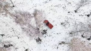 #МГ4 (ТТ4) #Трелевочный_трактор_гусеничный #Новый_модернизированный #Лесозаготовительная_техника.