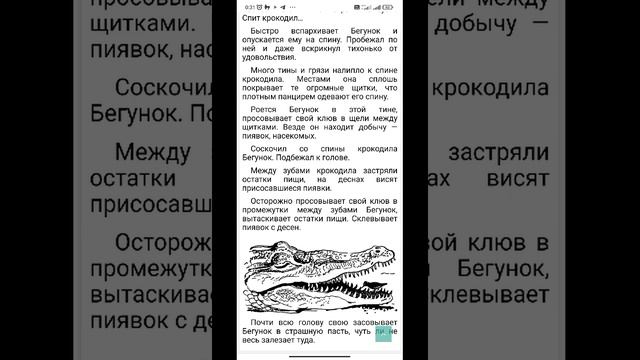 20.ЗУБОЧИСТКА КРОКОДИЛА/из книги "ГРЕБЕНЬ БУЙВОЛА" /Н.Н. Плавильщиков