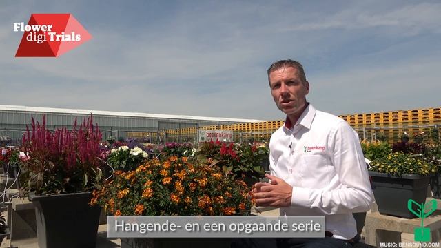 Flower digi Trials - Sunny Osteospermum en perkgoed (NL) смотреть онлайн