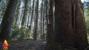 Adrián Berenguer   Premiere NCS Music Video