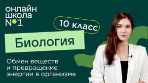 Обмен веществ и превращение энергии в организме. Биология 10 класс. Видеоурок 21