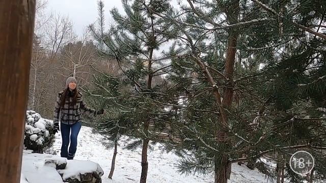 Курс "Лунная сила" 3 лунный день. Как достичь цели в жизни и стать успешной. Кундалини. смотреть онлайн