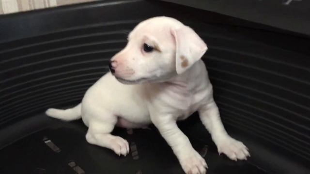 Эйприл 3 мальчик корот видео смотреть онлайн