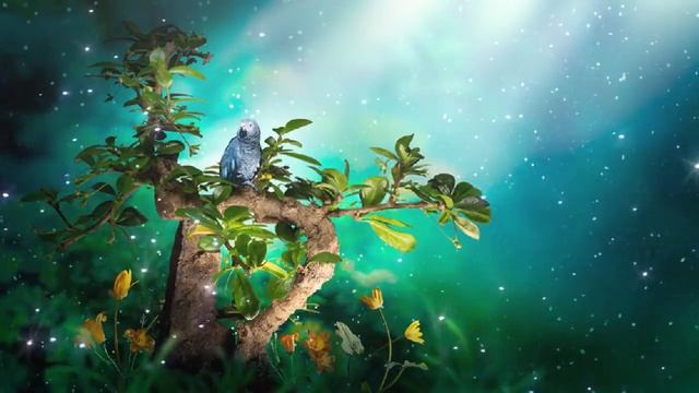 Релакс Музыка ? Расслабляющая Музыка ? Музыка Для Сна ◾ Relaxing Music ◾ Sleeping Music смотреть онлайн