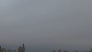 Охота на гуся в Ленинградской области , гусь шёл тысячами !!!