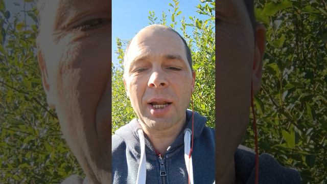 Главная Мысль 👍 🤔🌍
