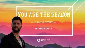 You Are The Reason – Calum Scott | Ringdd