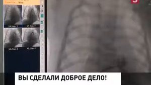 День добрых дел на Пятом