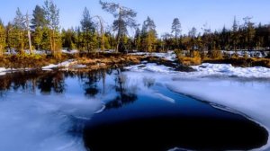 Г.Вяземский  --  я дом построил