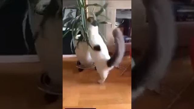 Случайно получилось)
