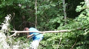 Распилила ветку ракиты, упавшую на проезжую часть | Сандра Мастерица