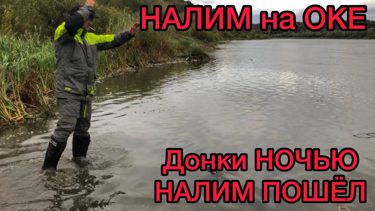 НОЧНЫЕ ДОНКИ на ОКЕ / НАЛИМ ПРОСНУЛСЯ и НАЧИНАЕТ КЛЕВАТЬ смотреть онлайн