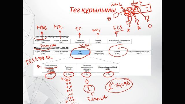 Бакалавриат_РЭТ_весенний семестр_ОПиМСС(каз.яз)_Лекция6_VLAN жұмысымен танысу смотреть онлайн