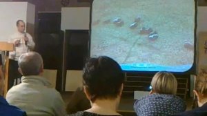 Сокращение численности овцебыков на Таймыре