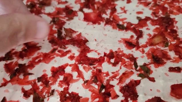 What to do with Too Many Strawberries?!  | Dehydrate Strawberries in 4 ways! смотреть онлайн