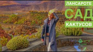 Сад кактусов Лансароте Канарские острова #Авиамания (Jardín de Cactus Lanzarote Las Islas Canarias)