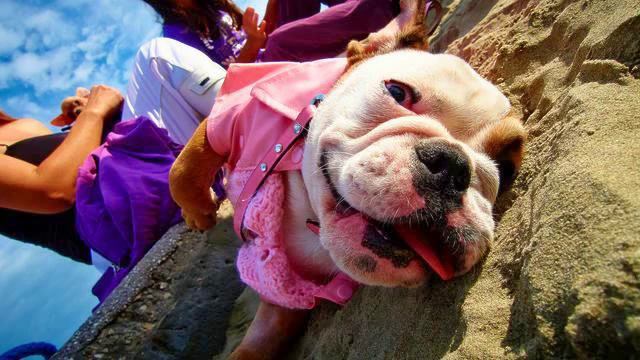 Музыка для синтезатора. Это - хит! Обожаю! смотреть онлайн