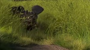 Эдит Беззубик и Дневная Фурия Каждый кто сделал тебе больно покойник