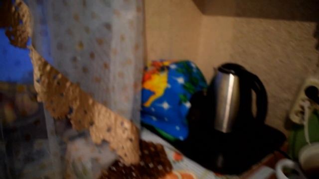 Поездка в Усогорск ( Республика Коми) смотреть онлайн