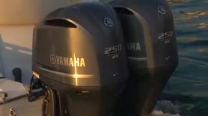 Yamaha F300B F250D F225F F70A