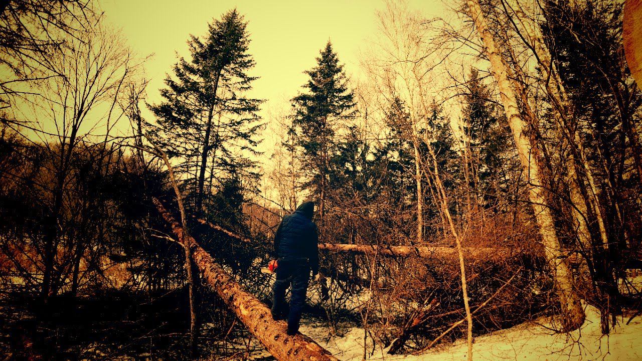 ВСЕ БРЕВНА НА МЕСТЕ, МОЖНО СТРОИТЬ ЗИМОВЬЕ. смотреть онлайн