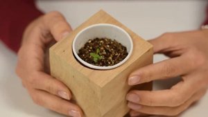 Выращивать дома легко! ЭкоКуб