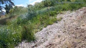 Новая Каховка пляж Дружба, Херсонская область